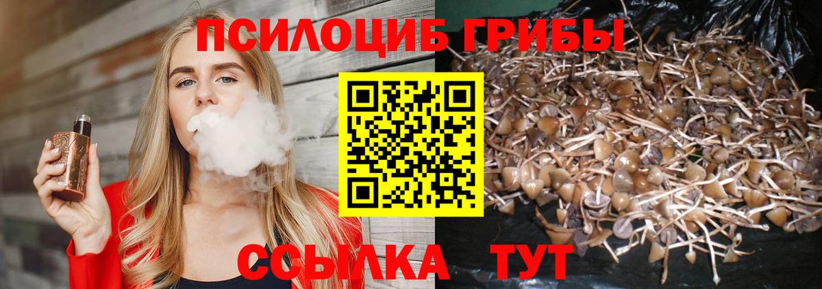 Галлюциногенные грибы прущие грибы Бугульма