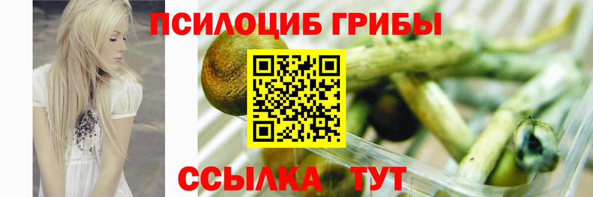 Галлюциногенные грибы мицелий  Галлюциногенные грибы мухоморы  купить наркотик  Вход с VPN  Бугульма 